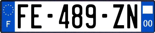 FE-489-ZN