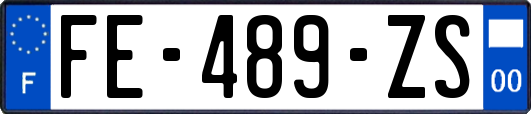 FE-489-ZS