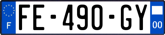 FE-490-GY