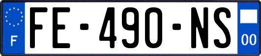 FE-490-NS