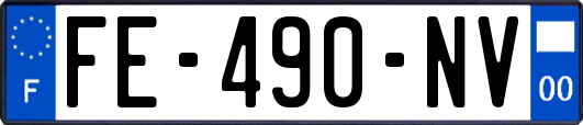 FE-490-NV