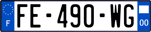 FE-490-WG