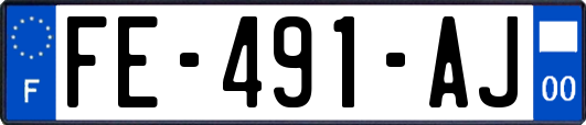 FE-491-AJ