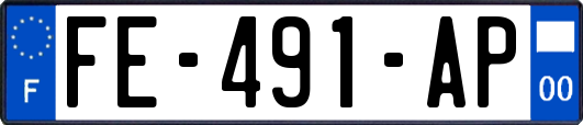 FE-491-AP