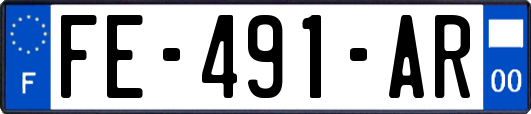 FE-491-AR