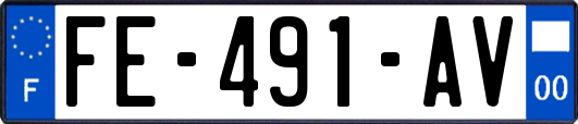 FE-491-AV