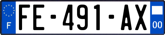 FE-491-AX