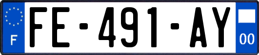 FE-491-AY
