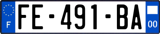 FE-491-BA
