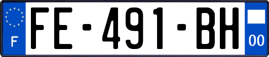 FE-491-BH