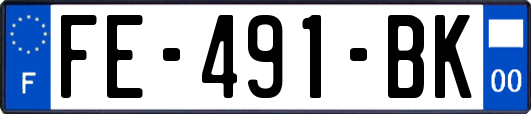 FE-491-BK