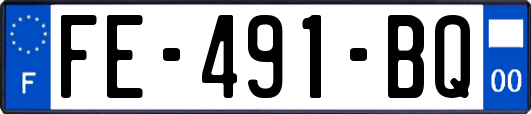 FE-491-BQ