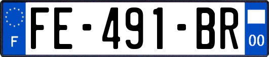 FE-491-BR