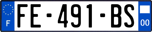 FE-491-BS