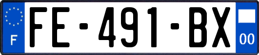 FE-491-BX