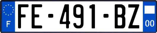 FE-491-BZ