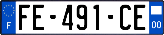 FE-491-CE