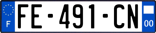 FE-491-CN