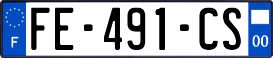 FE-491-CS