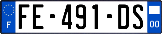 FE-491-DS