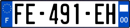 FE-491-EH