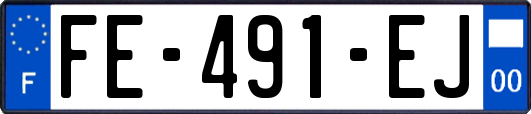 FE-491-EJ