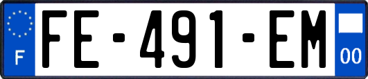 FE-491-EM