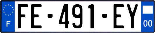 FE-491-EY