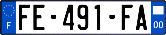 FE-491-FA