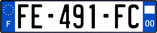 FE-491-FC