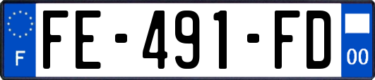FE-491-FD