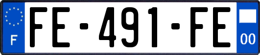 FE-491-FE