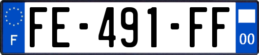 FE-491-FF