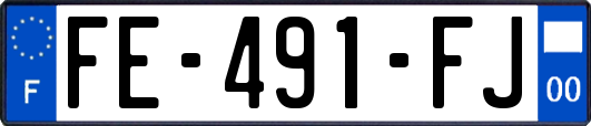 FE-491-FJ