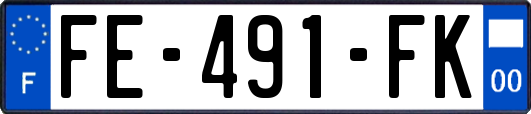FE-491-FK