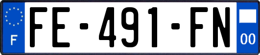 FE-491-FN