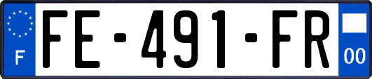 FE-491-FR