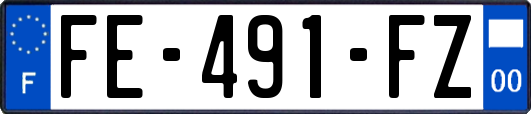 FE-491-FZ
