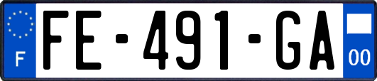 FE-491-GA