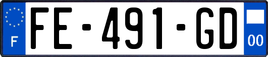 FE-491-GD