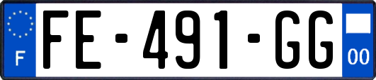 FE-491-GG