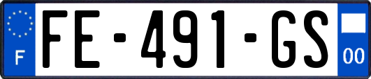 FE-491-GS