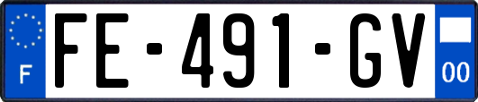 FE-491-GV