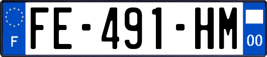 FE-491-HM