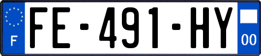 FE-491-HY