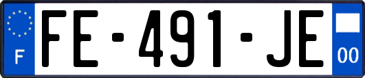 FE-491-JE