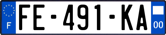 FE-491-KA