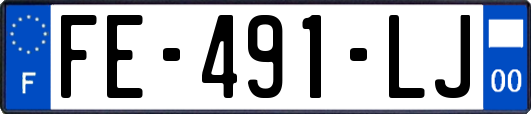 FE-491-LJ