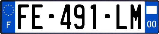 FE-491-LM