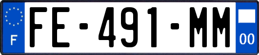 FE-491-MM